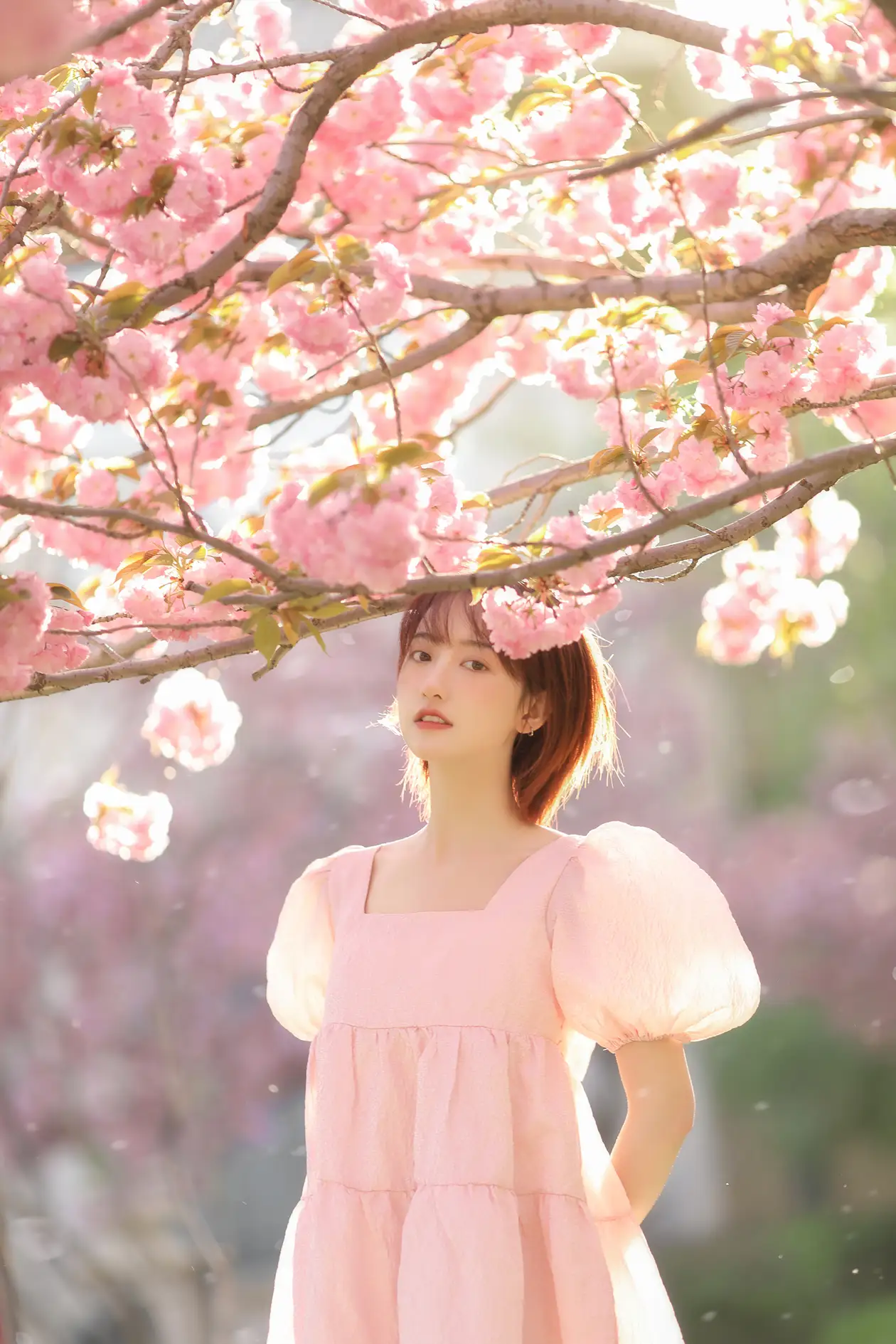 [YITUYU] 2022.07.08 Vol.1421 – Sakura Fall Cheng Fan#[21P]-3